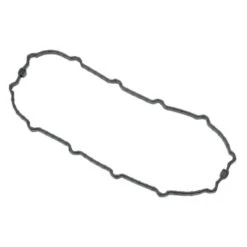 Seal For Fuel Pump Door - FXD 04-10