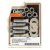 Colony #9609-15 Sprocket/Pulley Bolt Set For Sportster And Big Twin (Spoke Wheel) -Maxima Store 111 0034