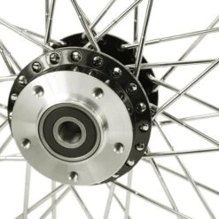 Black Front 40 Spoke Wheel 19 "x 2.15" (fits Harley FXD 2000-03,Sportster 2000-07) Billet Hub -Maxima Store 115 0055b