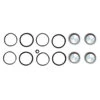 Caliper Seal Kit And Pistons For V-rod, Sportster, And Big Twin Models -Maxima Store 116 0268