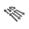 Head Bolt Set - 12 Point Zinc Plated - 92-UP Harley Big Twin/Twin Cam, 93-UP Sportster 3020-8 -Maxima Store Headbolts