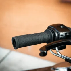 Maxima Store -Maxima Store bear2